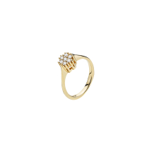 Ring roset med diamanter 7x0,03ct W.SI. 585
