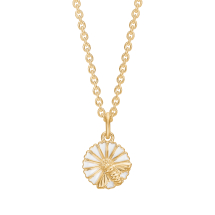 Marguerit collier 11 mm med bi 24kt forgyldt hvid emalje 45-48cm 925
