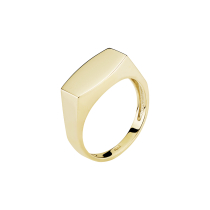 Ring plade 14x8 mm 333
