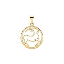 Stjernetegn stenbuk 20mm 333