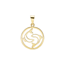 Stjernetegn fisk 20mm 333