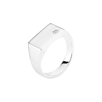 Ring plade 14x10mm med 1x2 mm zirkonia