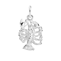 Stjernetegn krebs 925